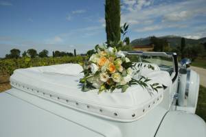 Aline CLADEL - TRIPLE ECLATS